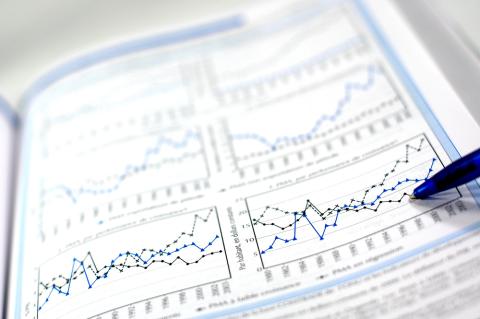 Share issue reports Financial translation services