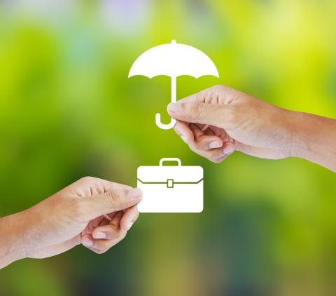 Insurance translation services Insurance translation services