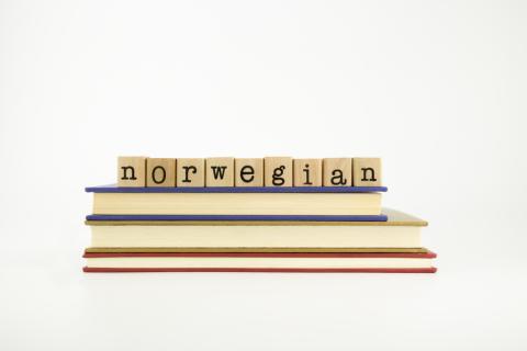 Norwegian translation services Norwegian translation services
