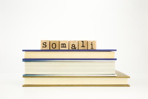 Somali translation services Somali translation services