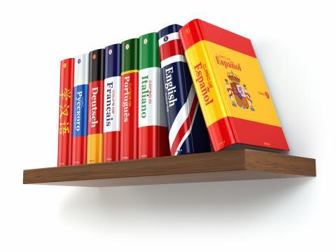 Professional Translation Services Professional Translation services