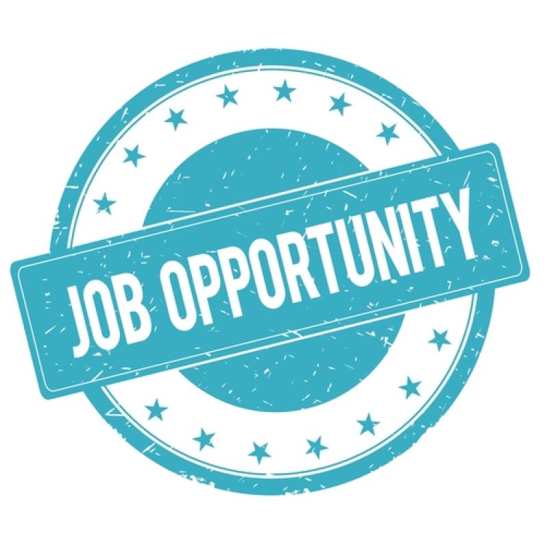Opportunities for freelance voice-over artists, transcribers, and subtitling professionals Jobs for voice-over artists, transcribers, subtitling professionals