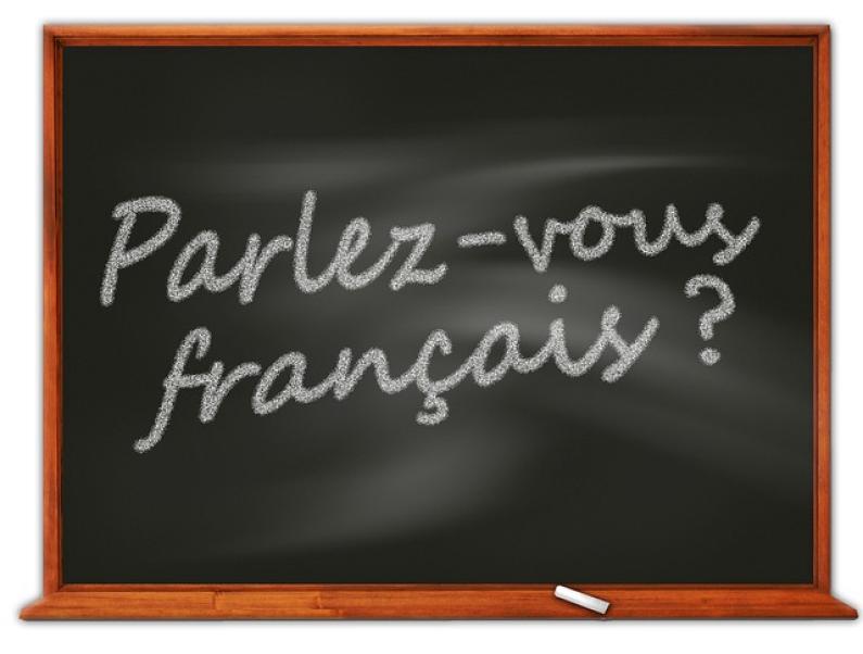 French Translation Service