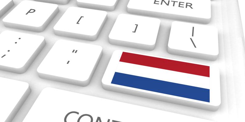 Promising e-commerce market in the Netherlands e-commerce market in the Netherlands