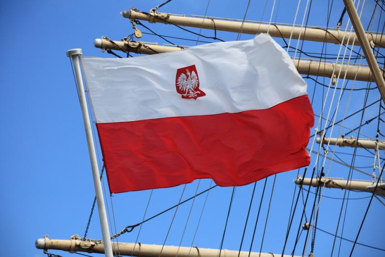 Voice-over in Polish: five tips for choosing a professional artist Finding a Polish Voice-Over Artist