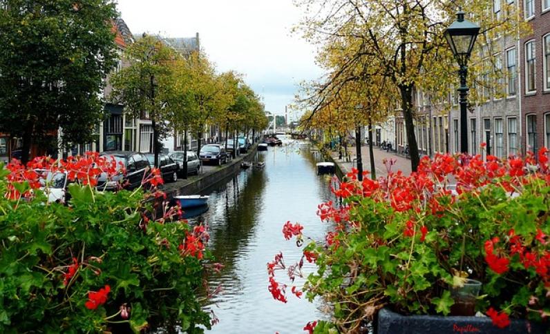 Translation Services Amsterdam