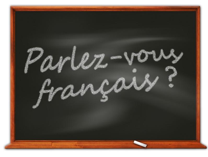 French Translation Service