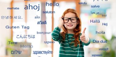 Plurilingualism and Multilingualism: What are the Differences?
