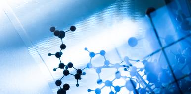 Scientific translation services: the essential skills